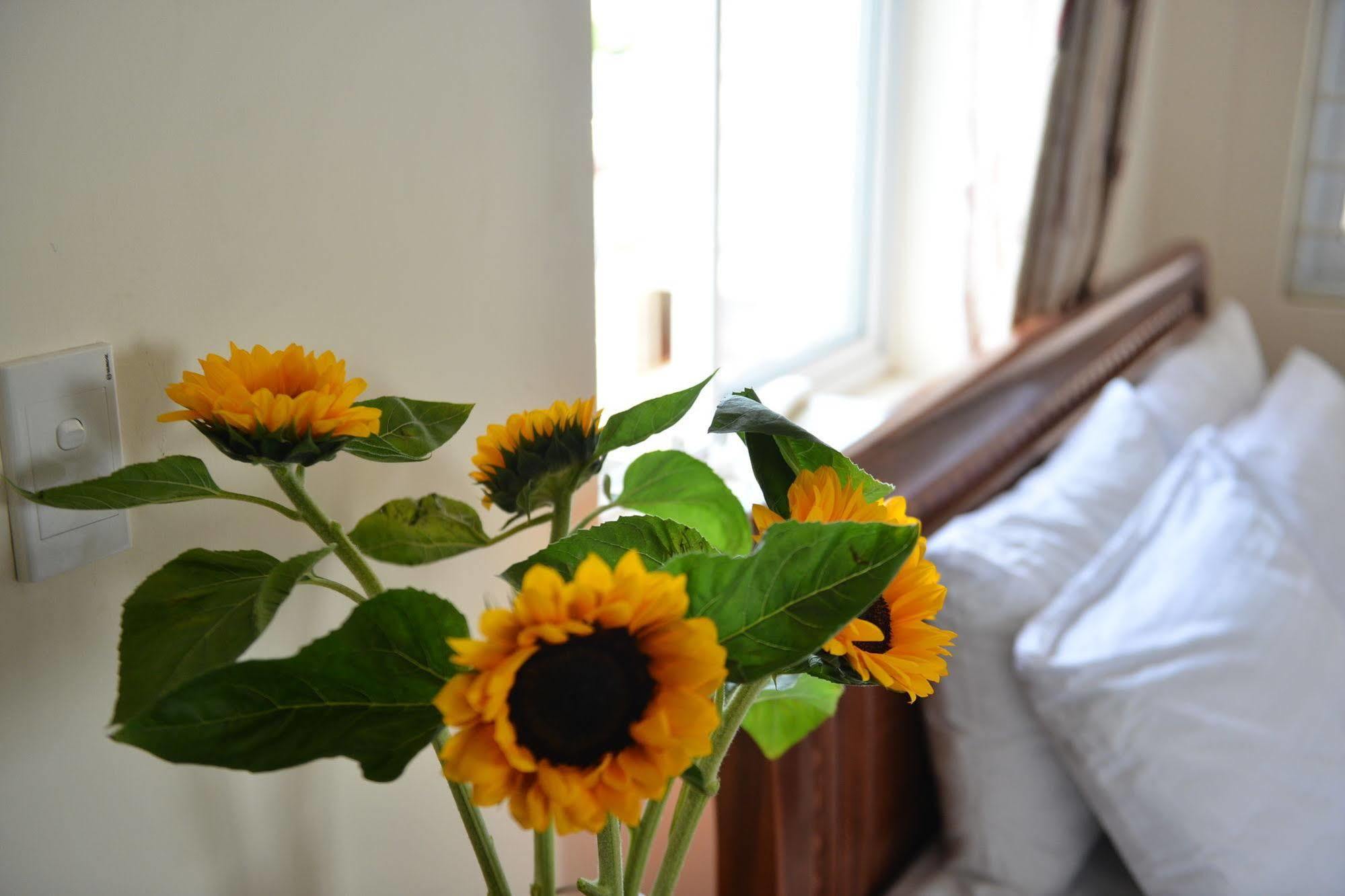 Oc Tien Sa Hotel Da Nang Zewnętrze zdjęcie