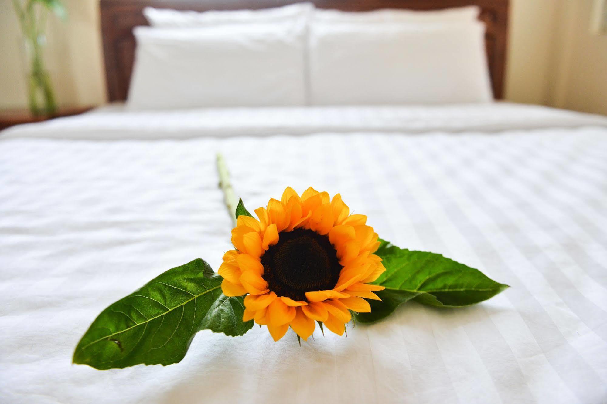 Oc Tien Sa Hotel Da Nang Zewnętrze zdjęcie